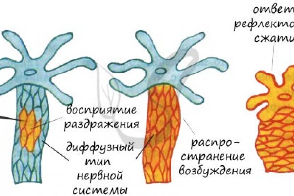 Kraken onion сайта