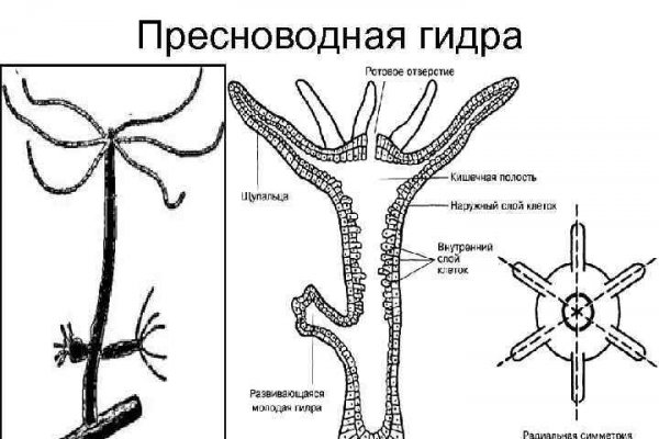 Кракен маркет что это такое