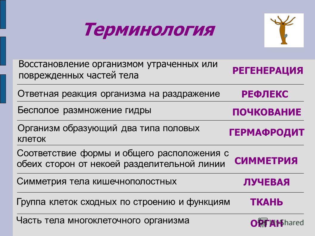 Актуальные ссылки кракен на 2025